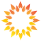 National Pediatric Cancer Foundation favicon Sun Logo