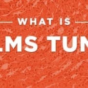 Wilms Tumor